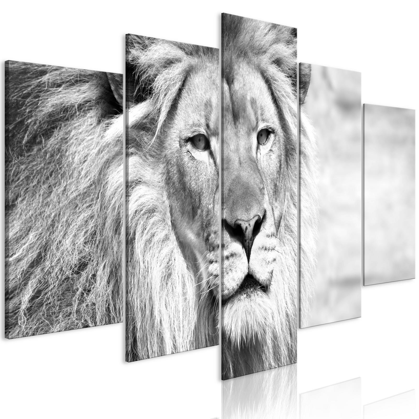 Tableau - The King of Beasts (5 Parts) Wide Black and White