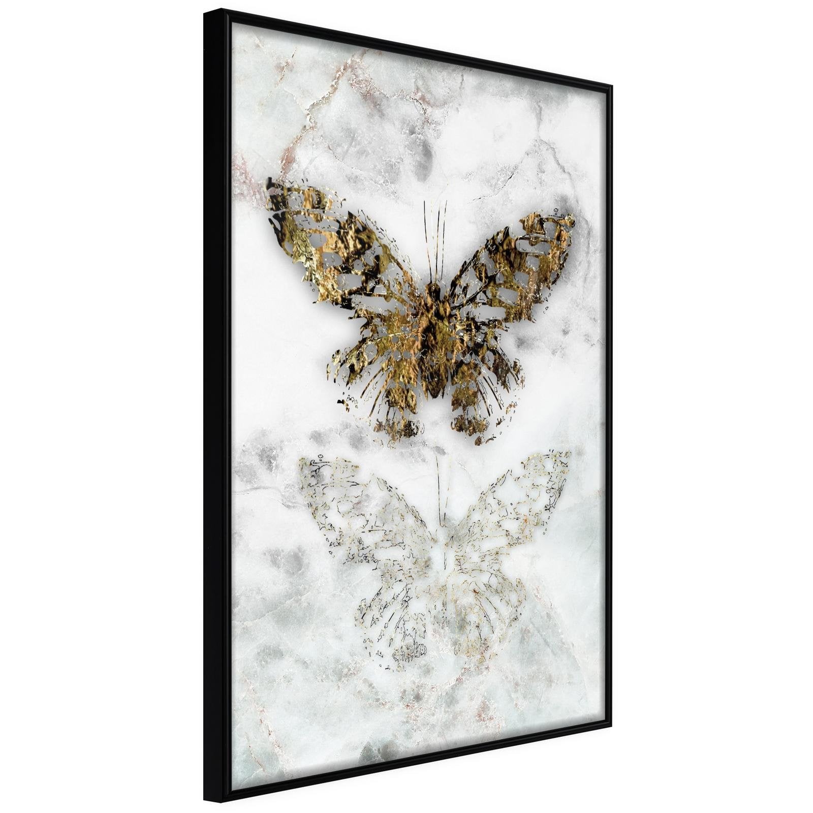 Affiche Fossiles de Papillons