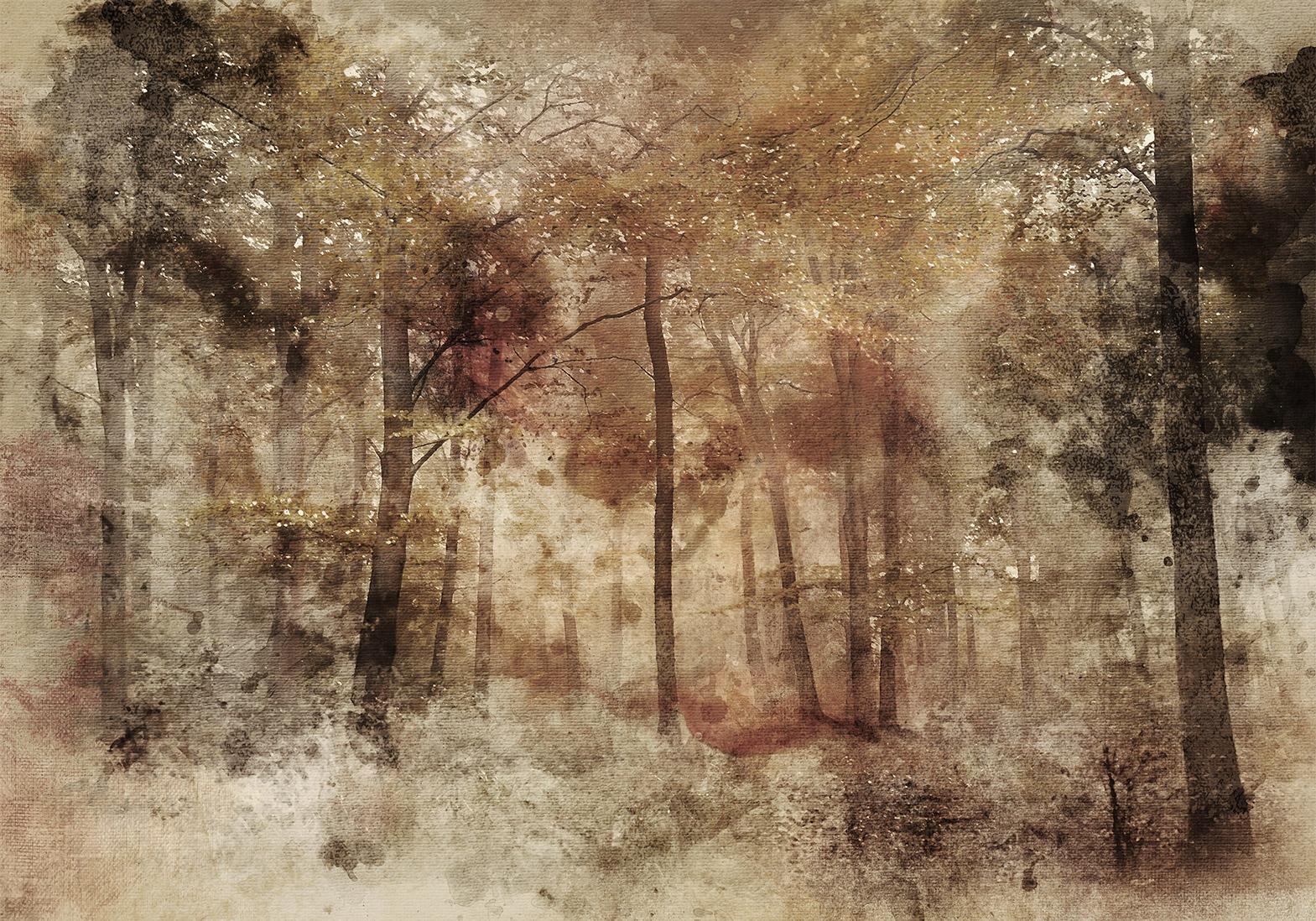 Papier peint - Lost in the woods