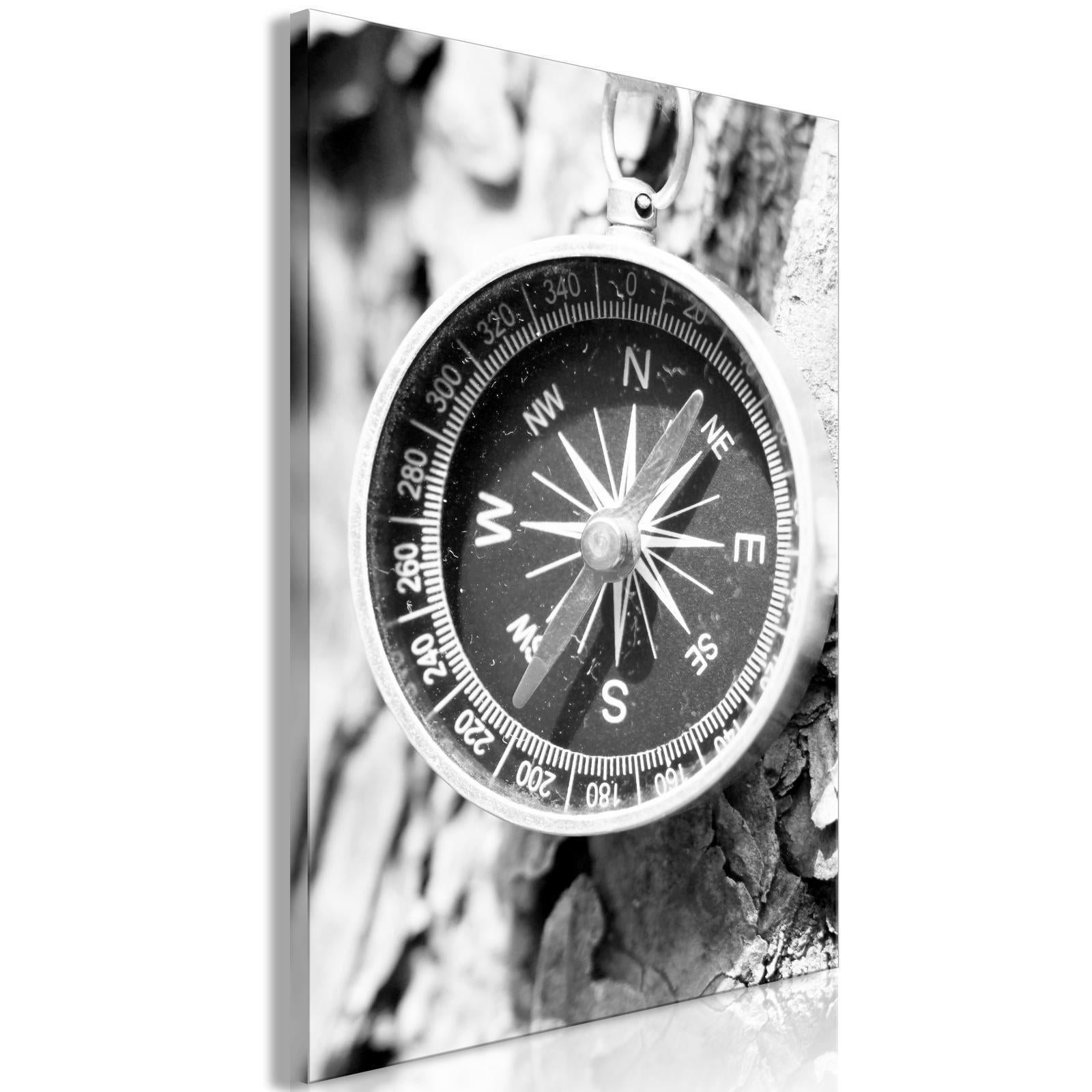 Tableau - Direction of the Road (1-part) - Black and White Compass on Tree Background