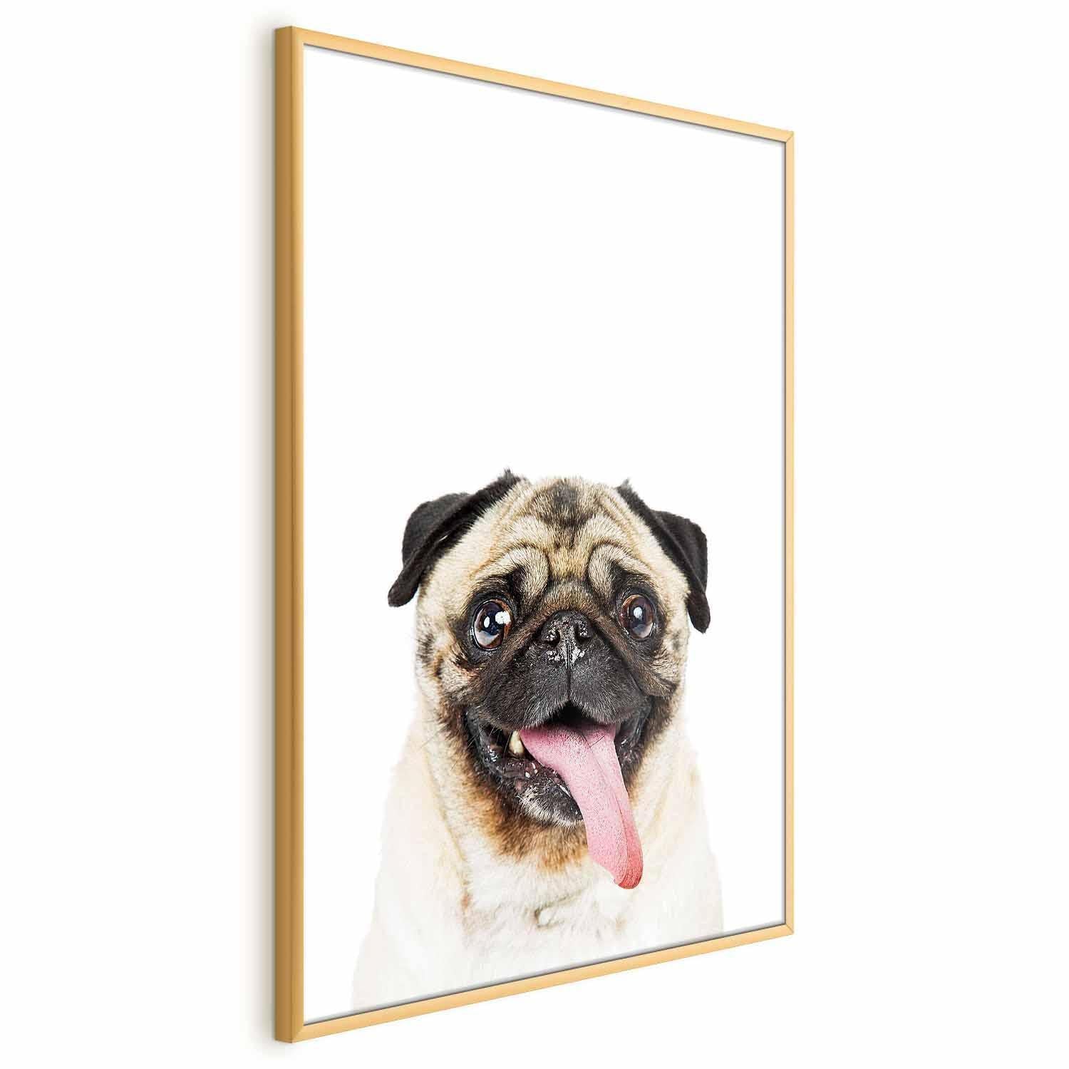 Poster - Pug