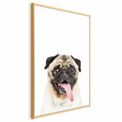 Poster - Pug
