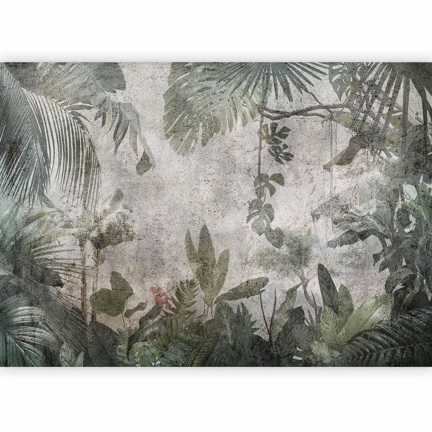 Papier peint - Rain Forest in the Fog