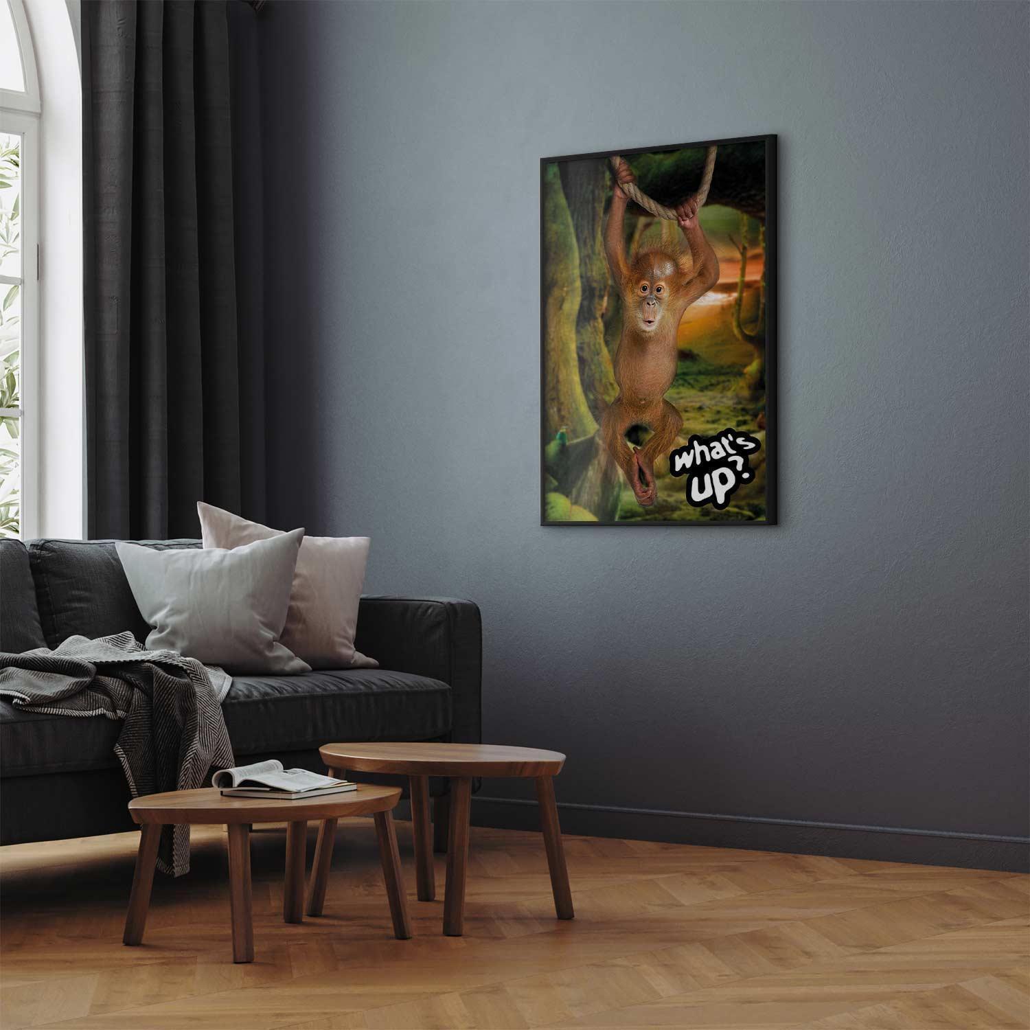 Poster - What's Up?