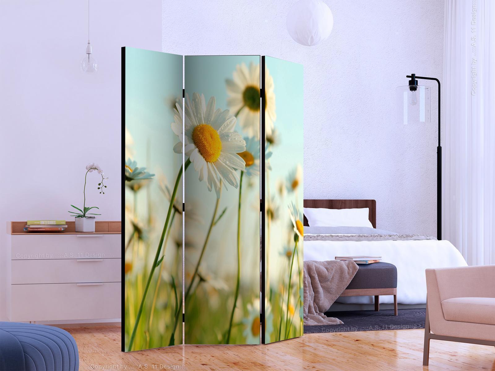 Paravent - Daisies - spring meadow