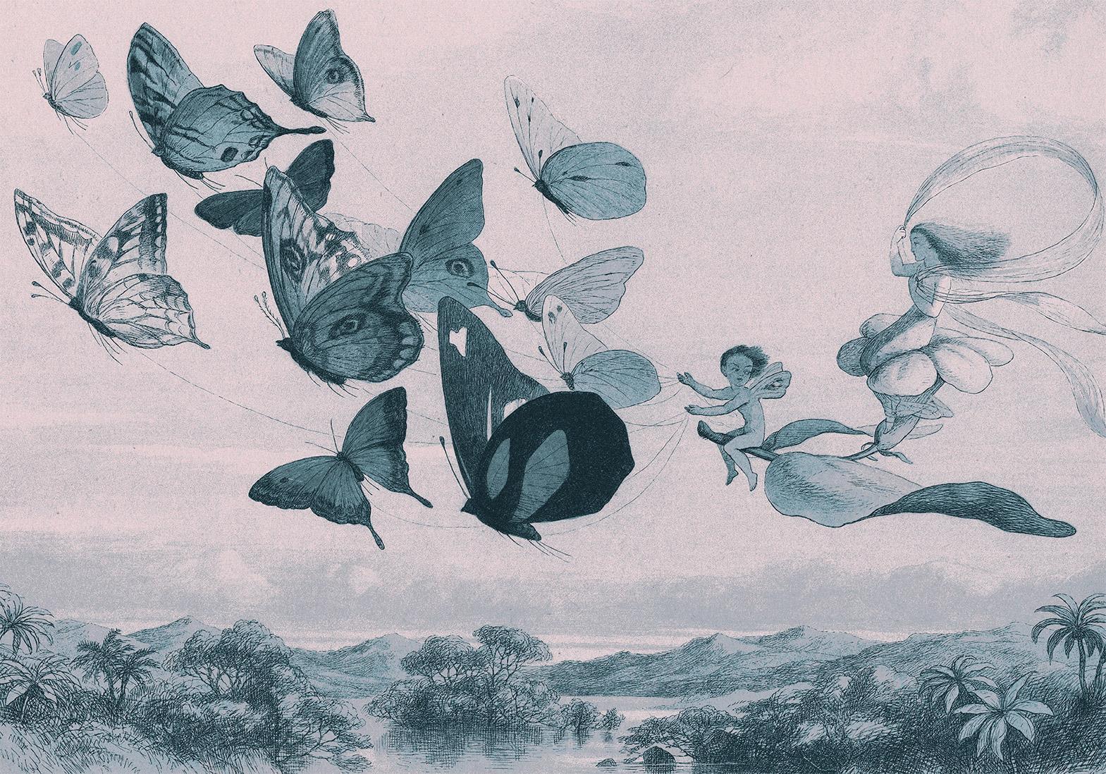 Papier peint - Butterflies and Fairy
