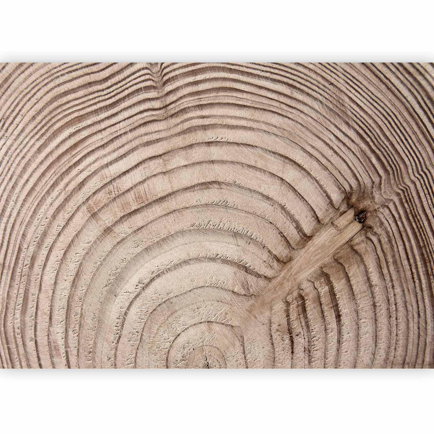 Papier peint - Wood grain