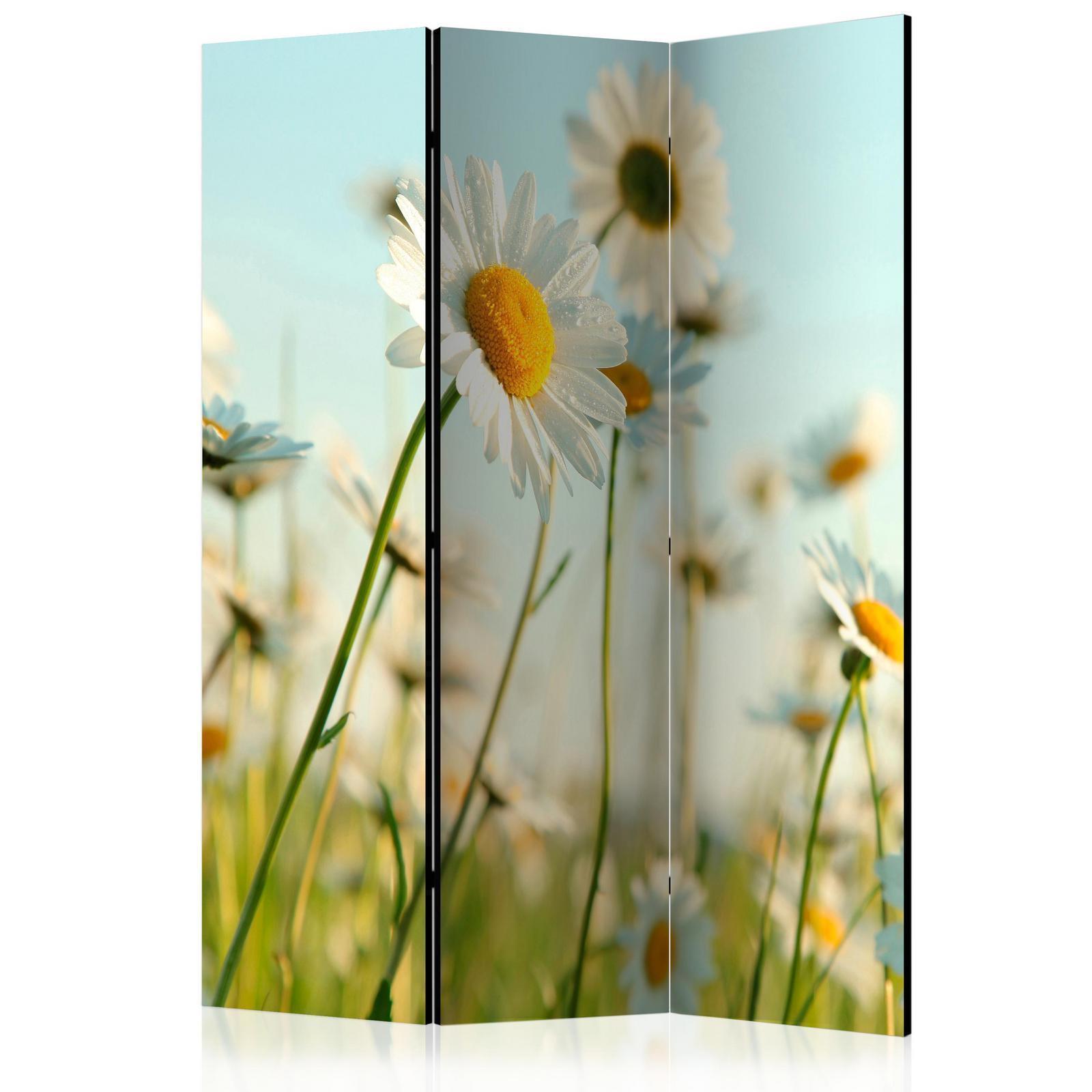 Paravent - Daisies - spring meadow