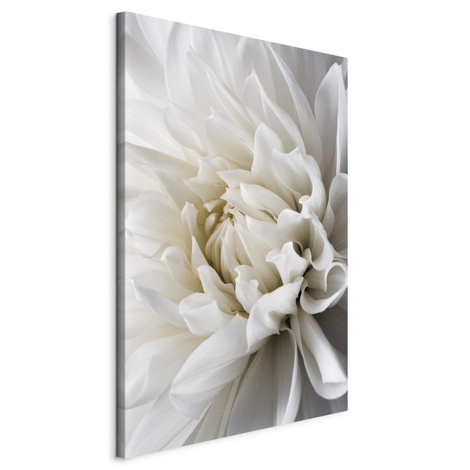 Tableau - White Dahlia