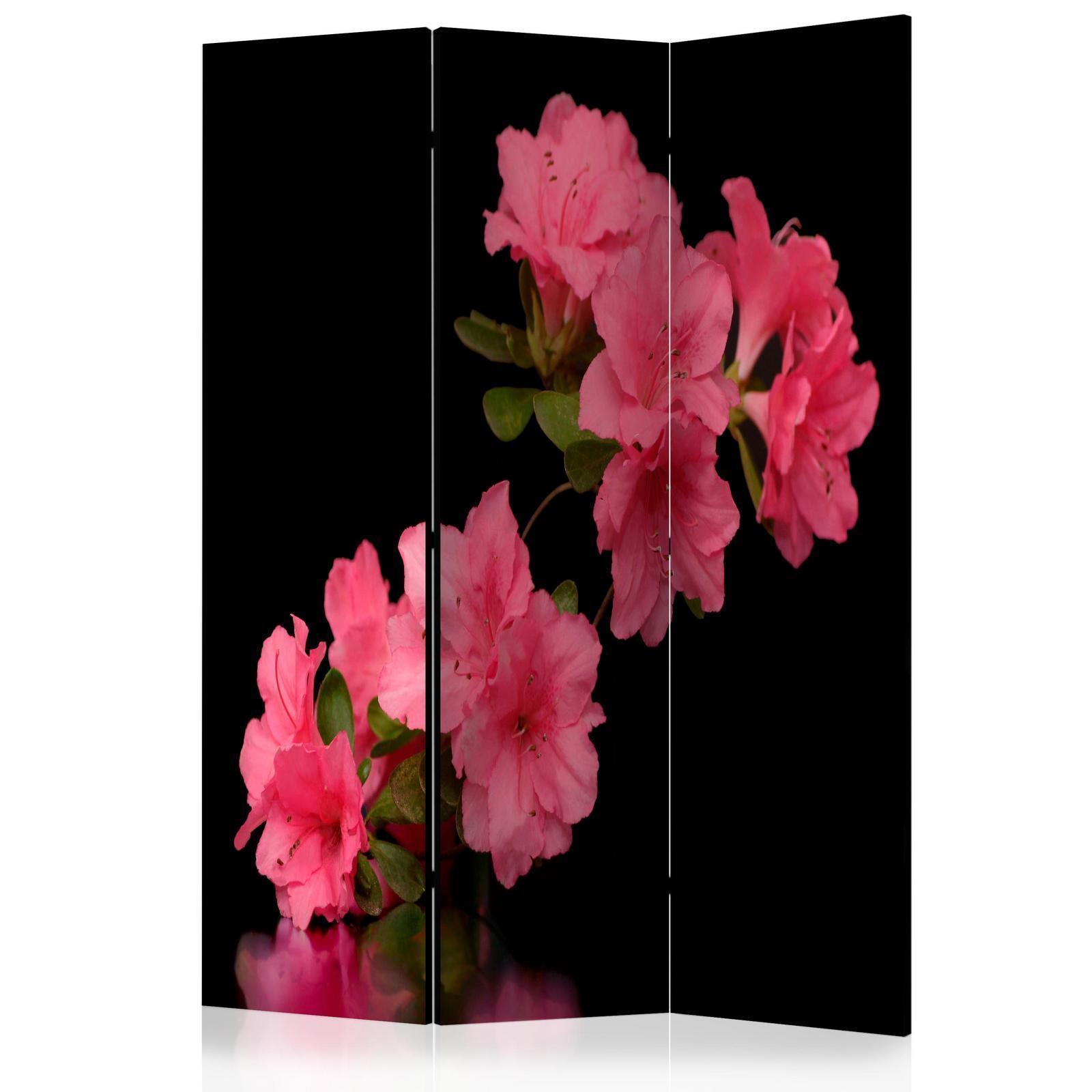 Paravent - Azalea in Black