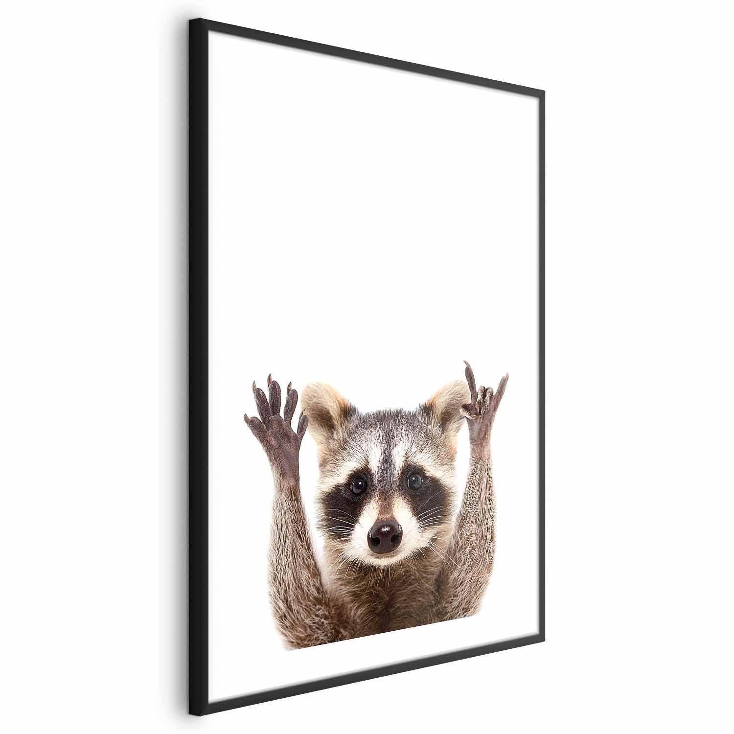 Poster - Raccoon