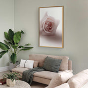 Poster - Rose Shadow