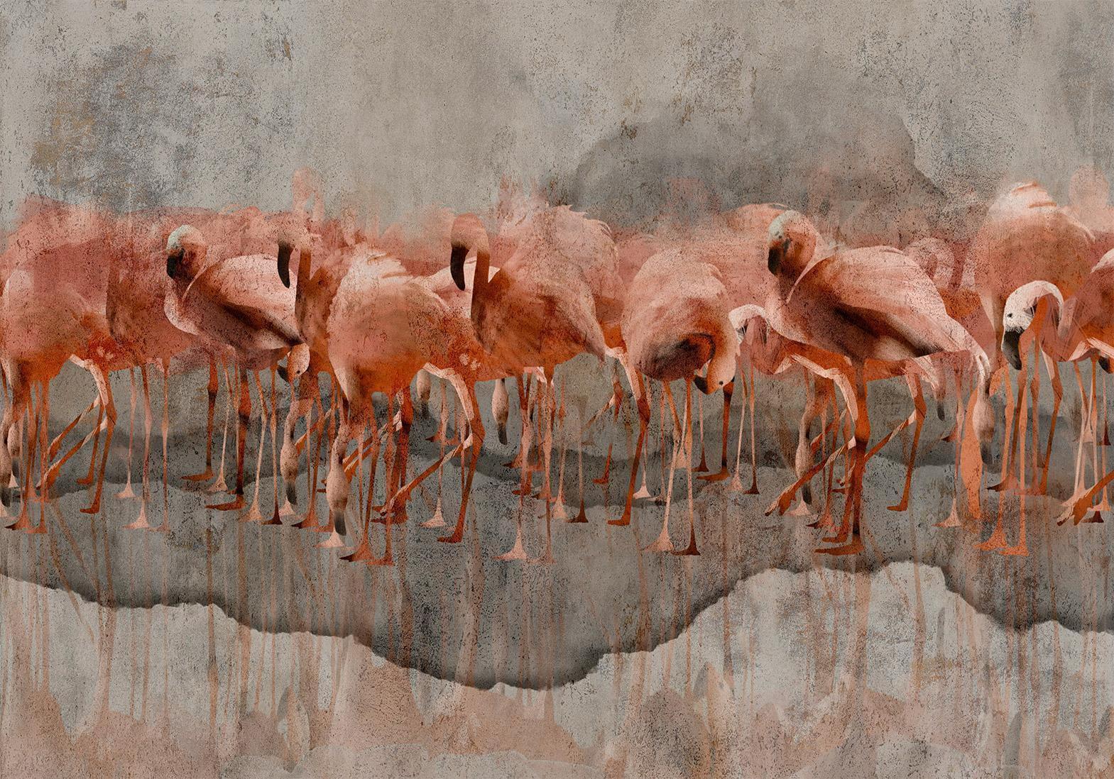 Papier peint - Exotic birds - pink flamingos with shadow on grey concrete background