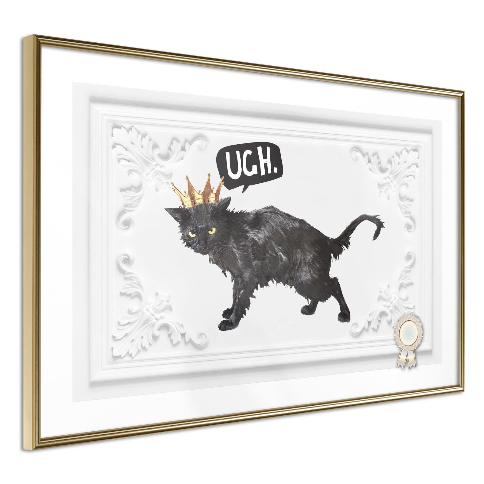 Affiche chat noir