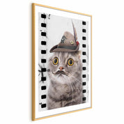 Poster - Cat in a Hat