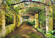 Papier peint - Pergola