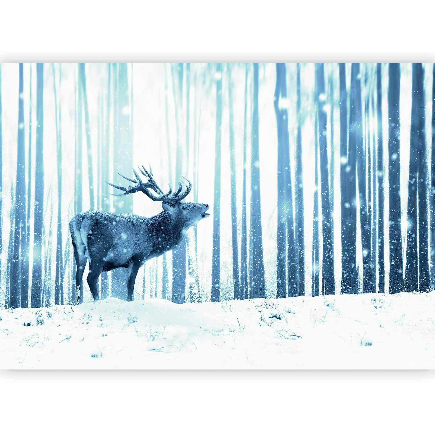 Papier peint - Winter animals - deer motif on a forest background in shades of blue