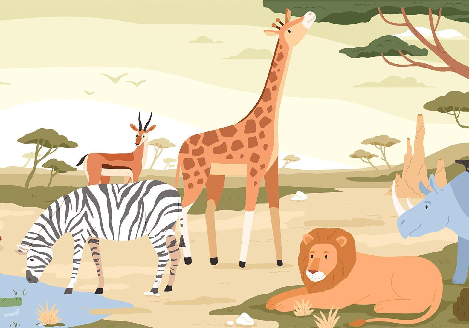 Papier peint - Animals From Jungle Vector Illustration