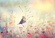 Papier peint - Field Bird