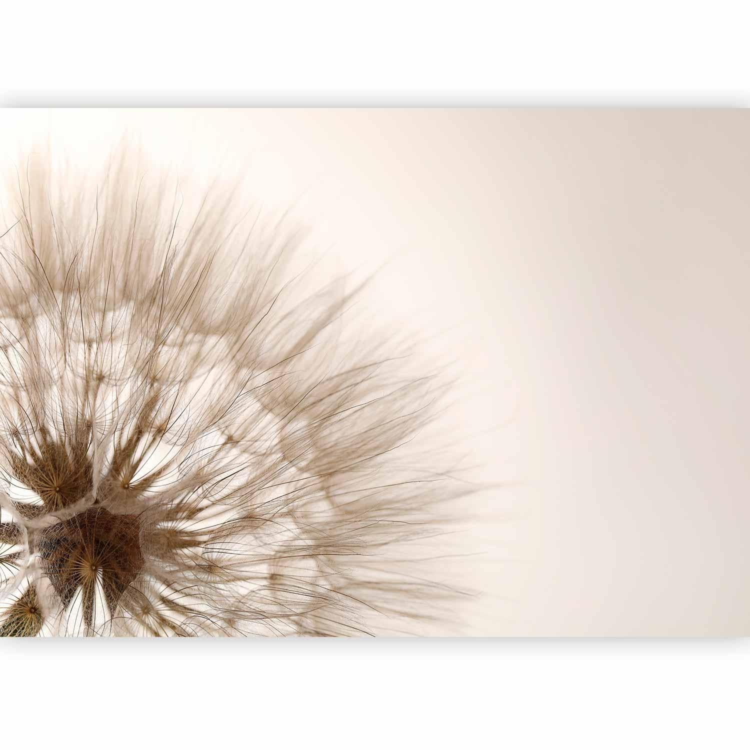 Papier peint - Nature close-up - close-up motif of a blowfly flower in sepia