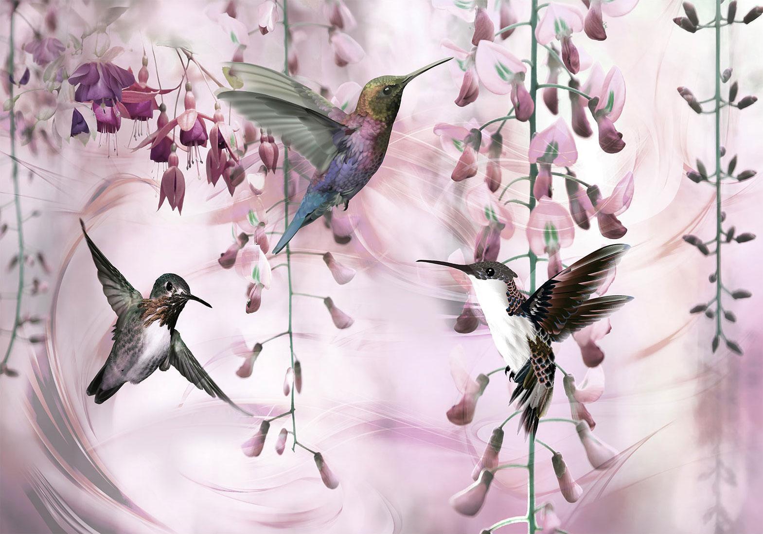 Papier peint - Flying Hummingbirds (Pink)