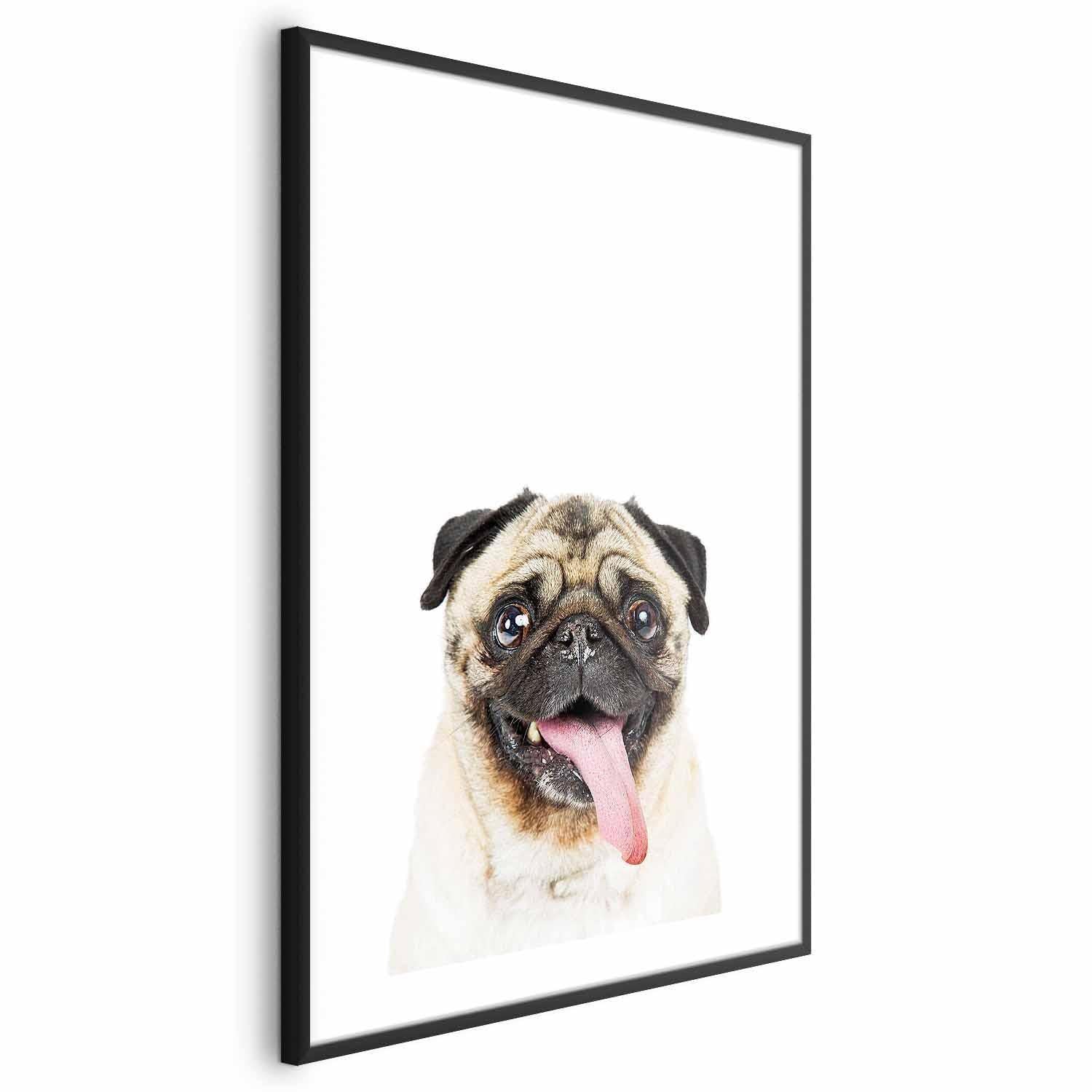 Poster - Pug