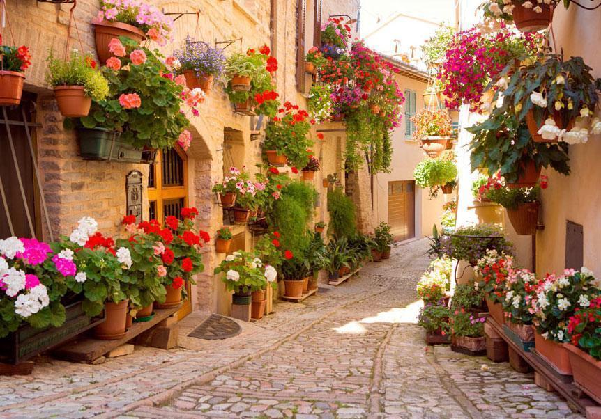 Papier peint - The Alley in Spello (Italy)