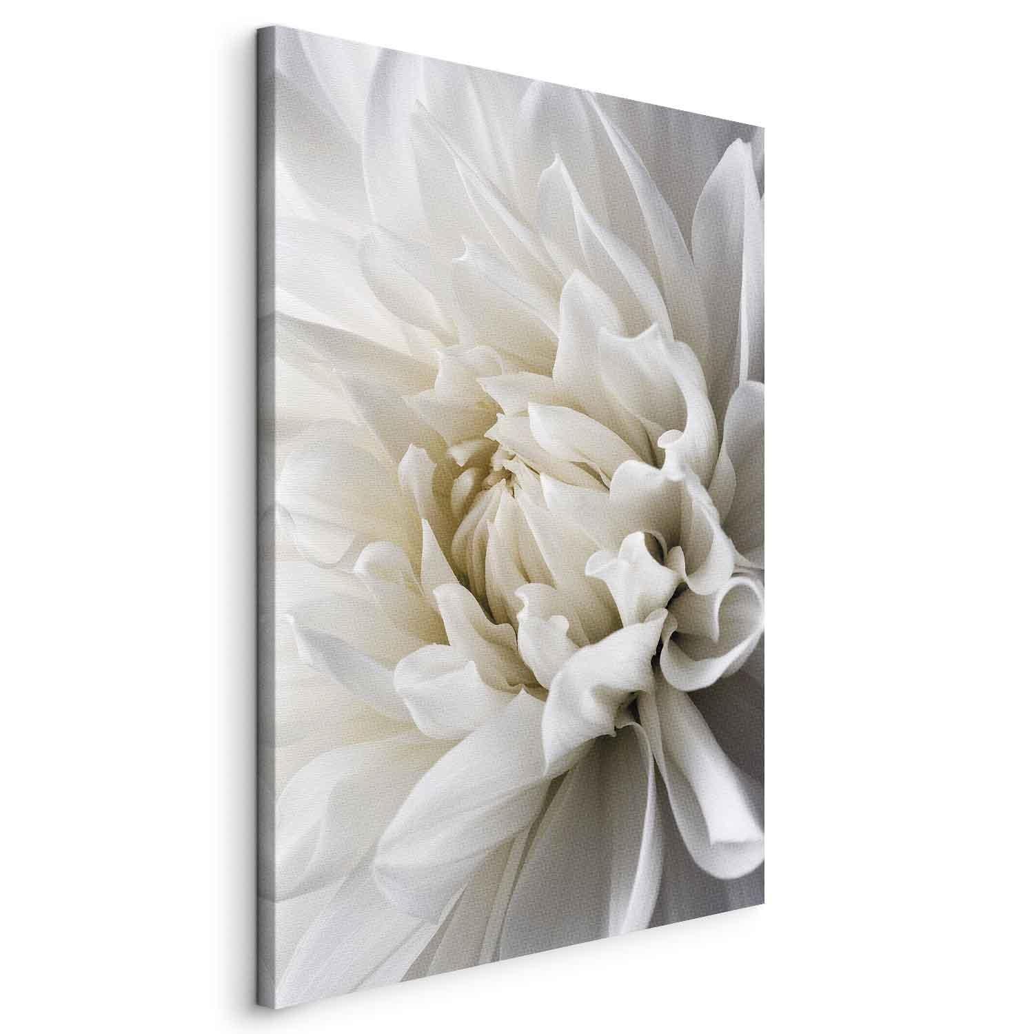 Tableau - White Dahlia