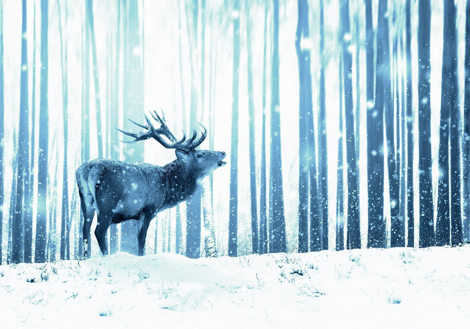 Papier peint - Winter animals - deer motif on a forest background in shades of blue