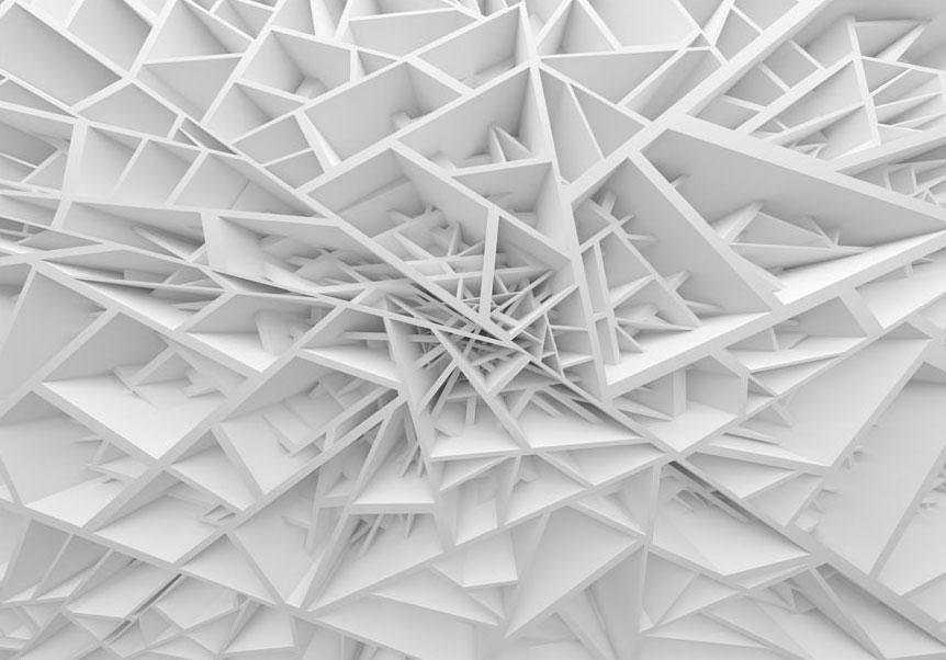 Papier peint - White Spider's Web