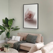 Poster - Rose Shadow