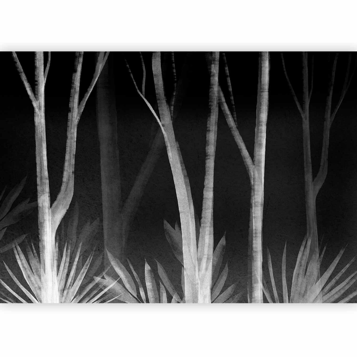 Papier peint - Noise of the forest at night - minimalist landscape of white trees on a black background