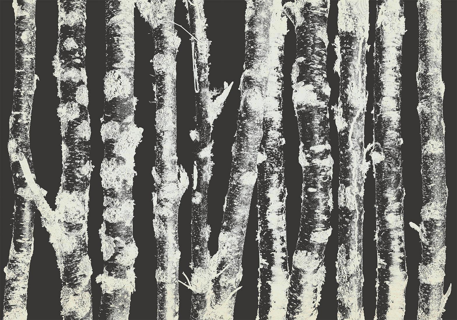 Papier peint - Stately Birches - Second Variant