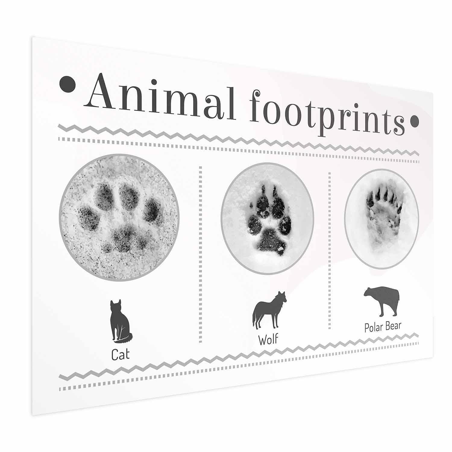 Poster - Paw Prints