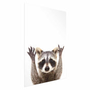 Poster - Raccoon