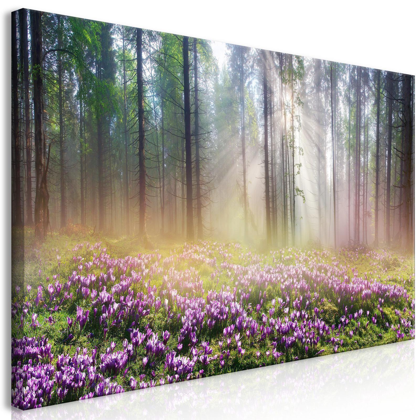 Tableau - Purple Meadow (1 Part) Wide