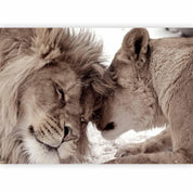 Papier peint - Lion Tenderness (Sepia)