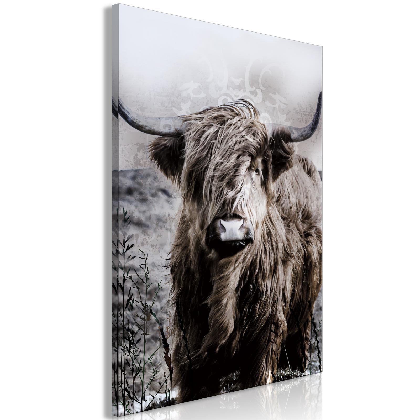 Tableau - Highland Cow in Sepia