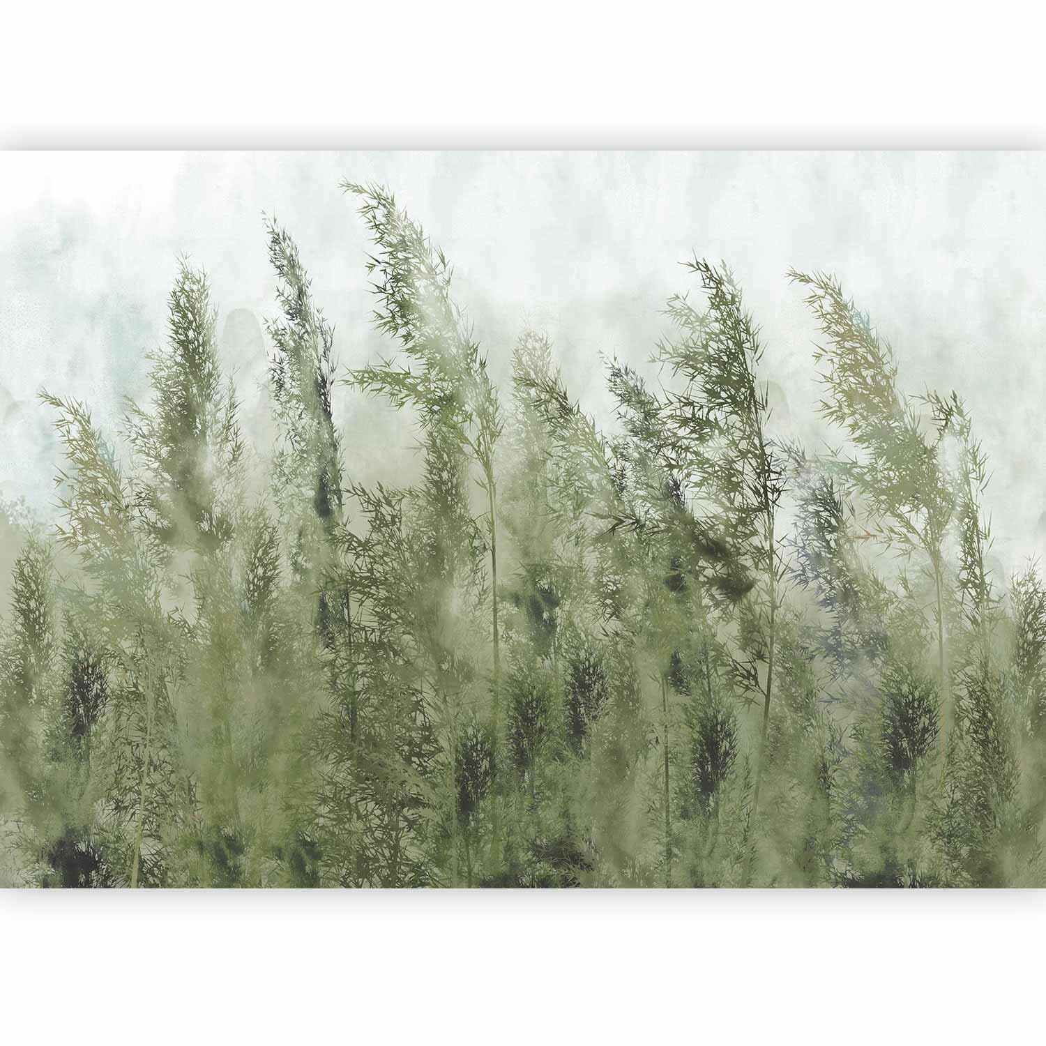 Papier peint - Tall Grasses - Green