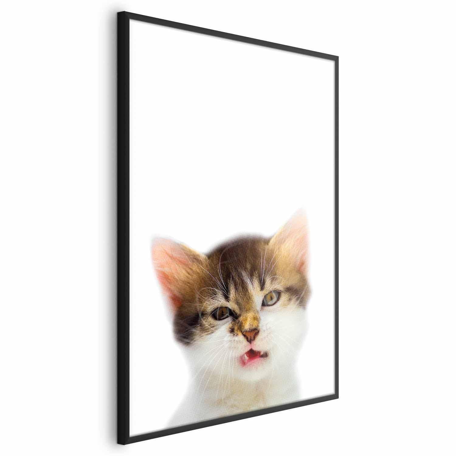 Poster - Annoyed Cat