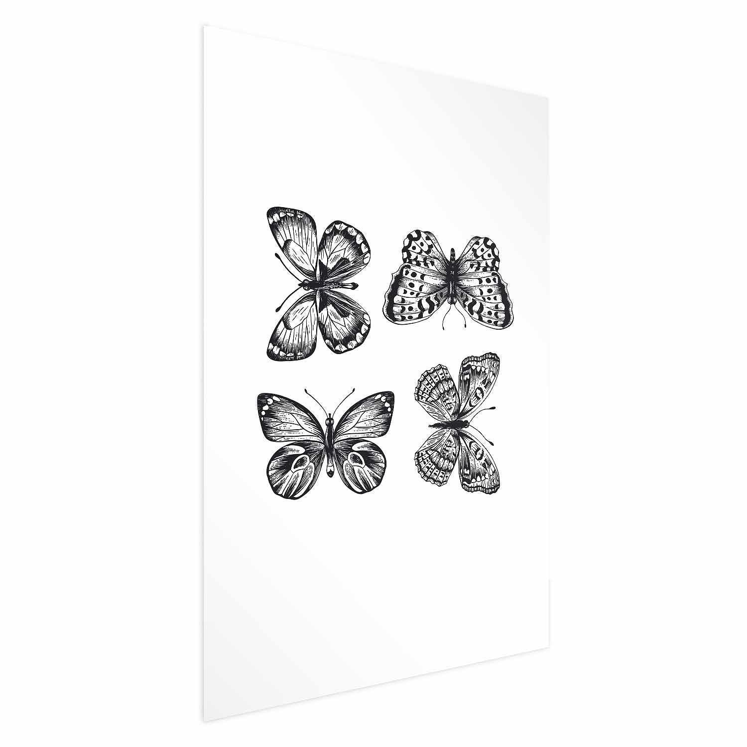 Poster - Four Butterflies