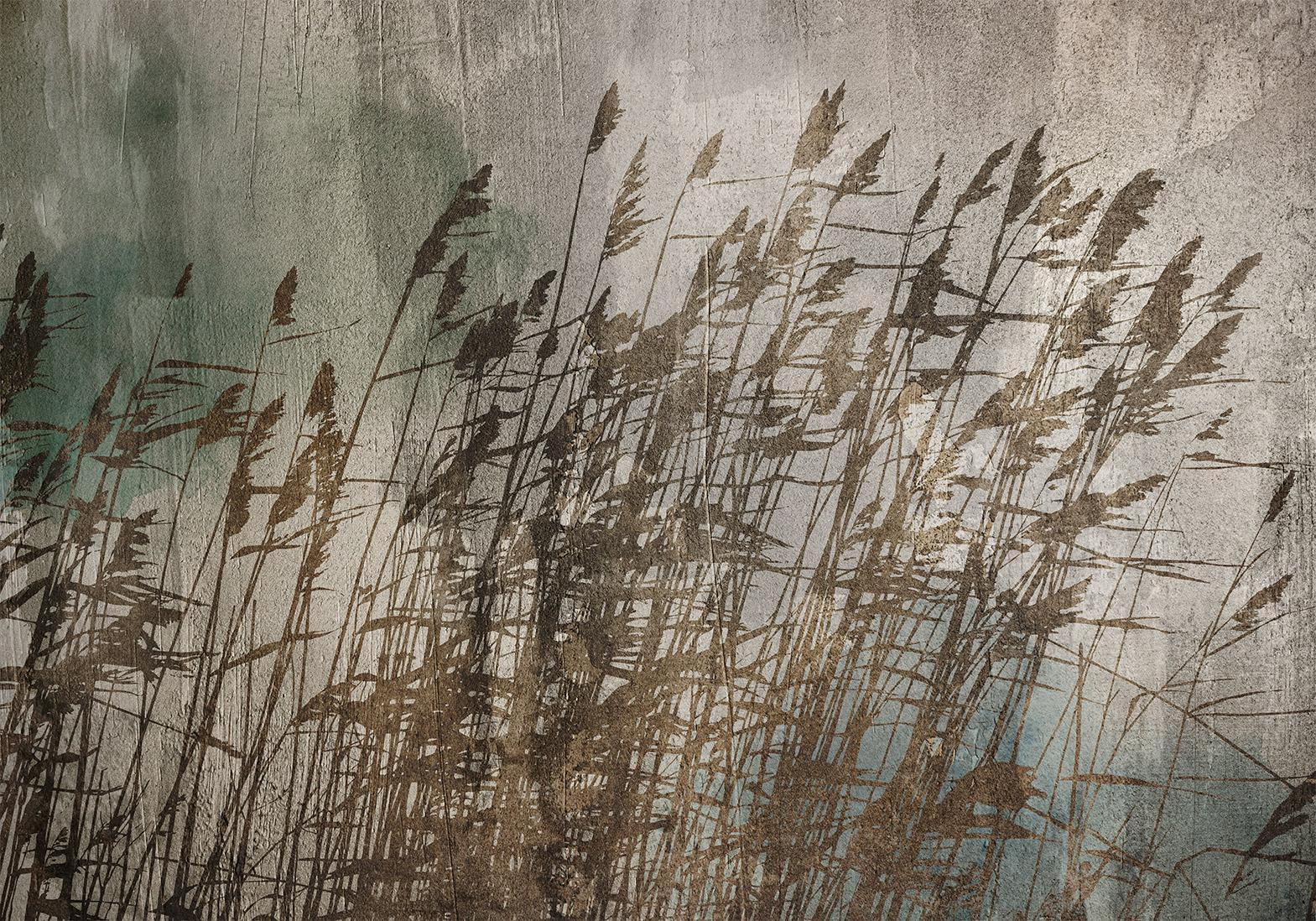 Papier peint - Water Grasses