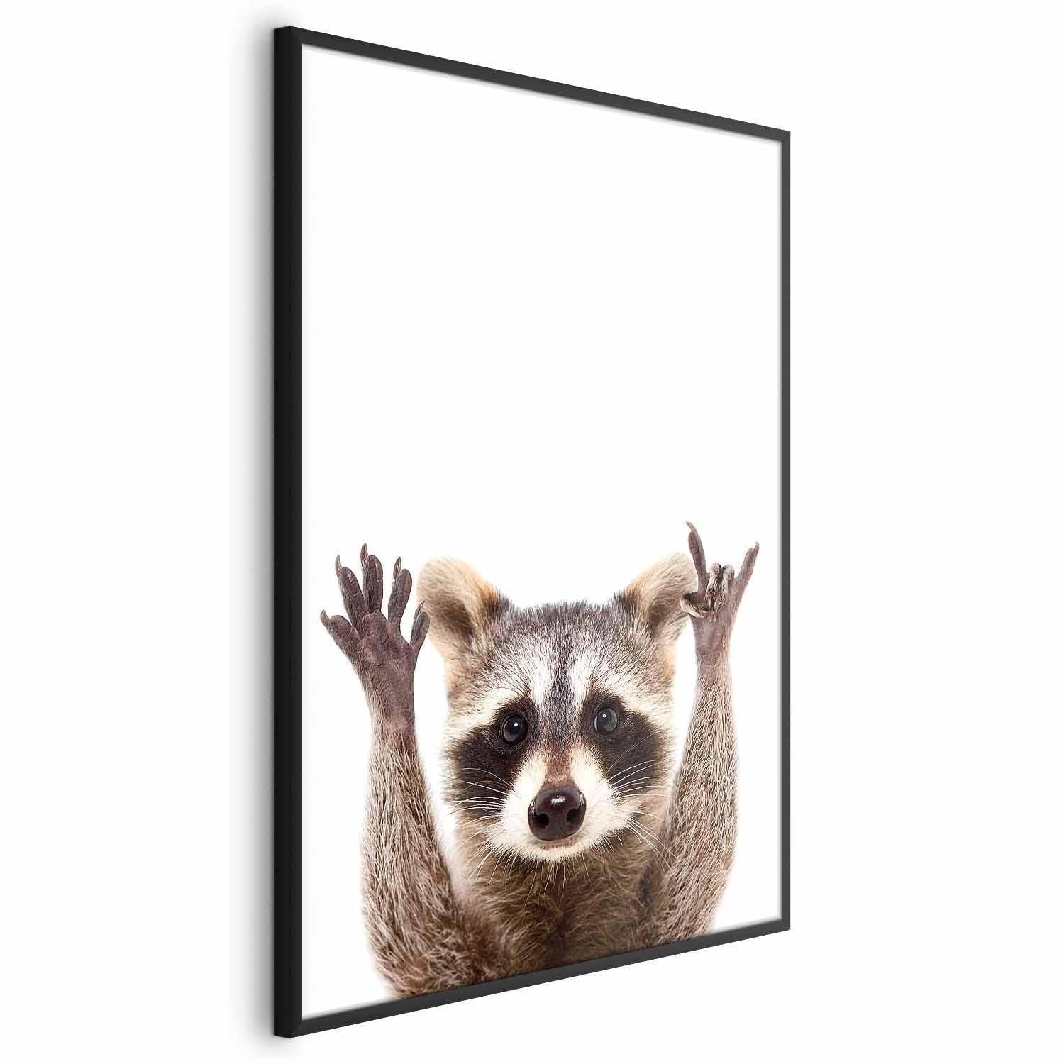 Poster - Raccoon