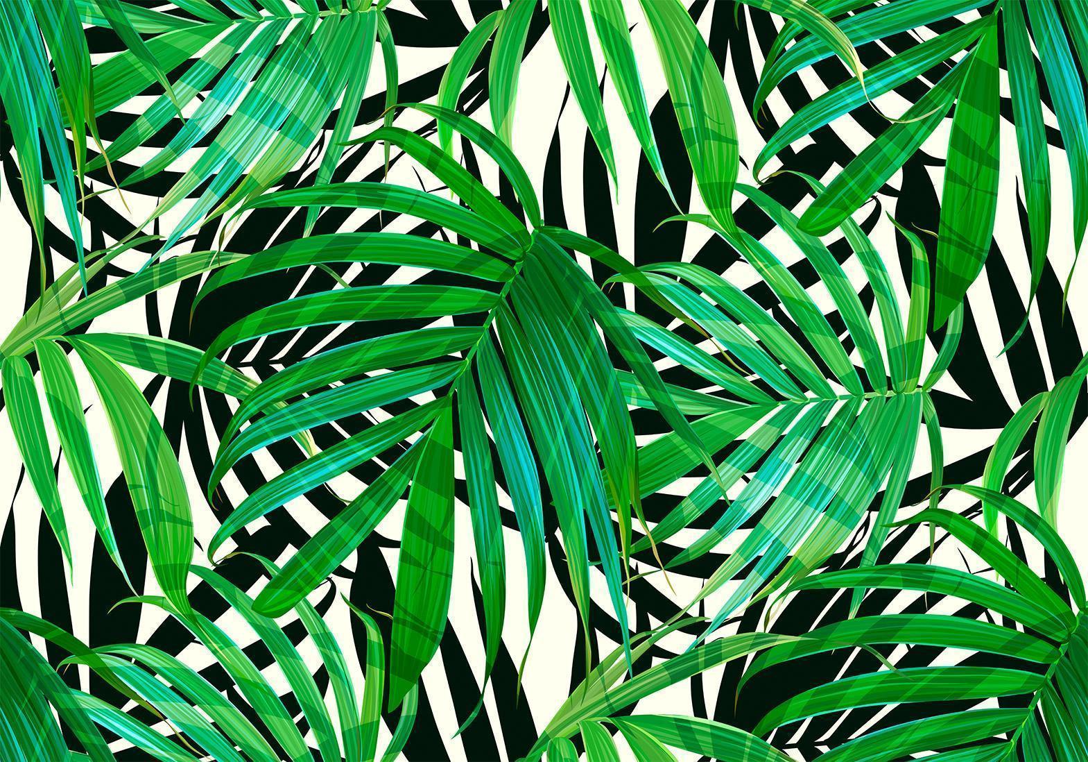 Papier peint - Tropical Leaves