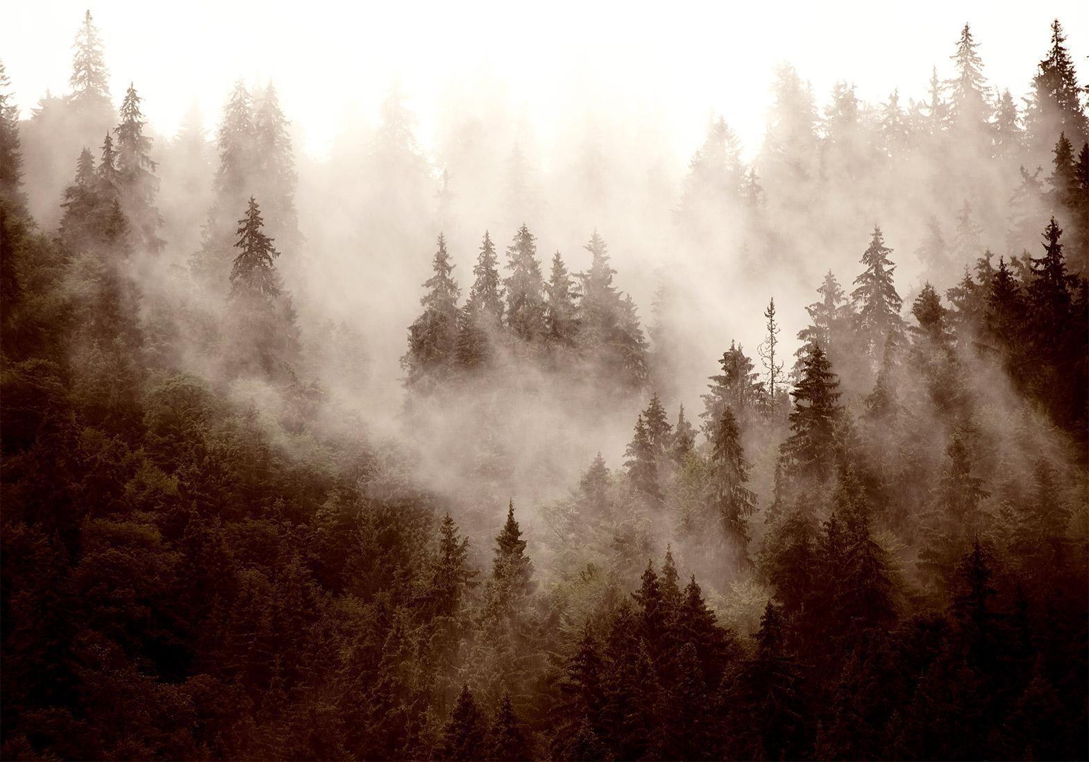 Papier peint - Mountain Forest (Sepia)