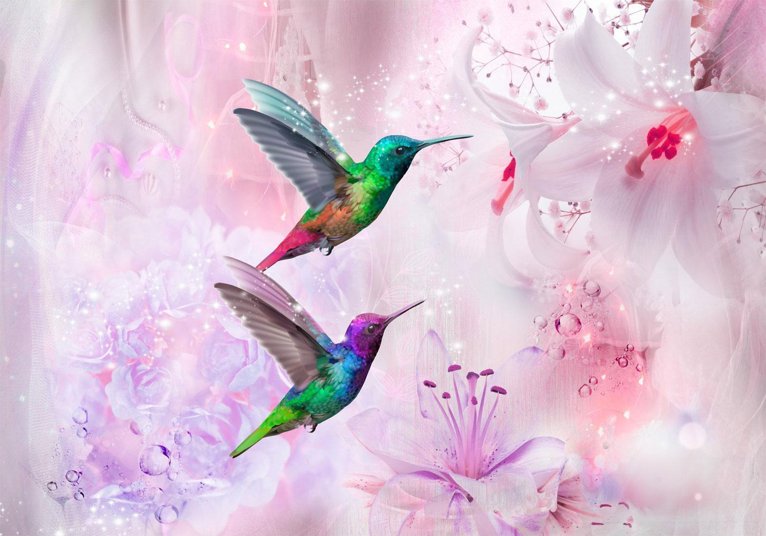 Papier peint - Colourful Hummingbirds (Purple)