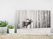 Peinture par numéros - Deer in the Snow