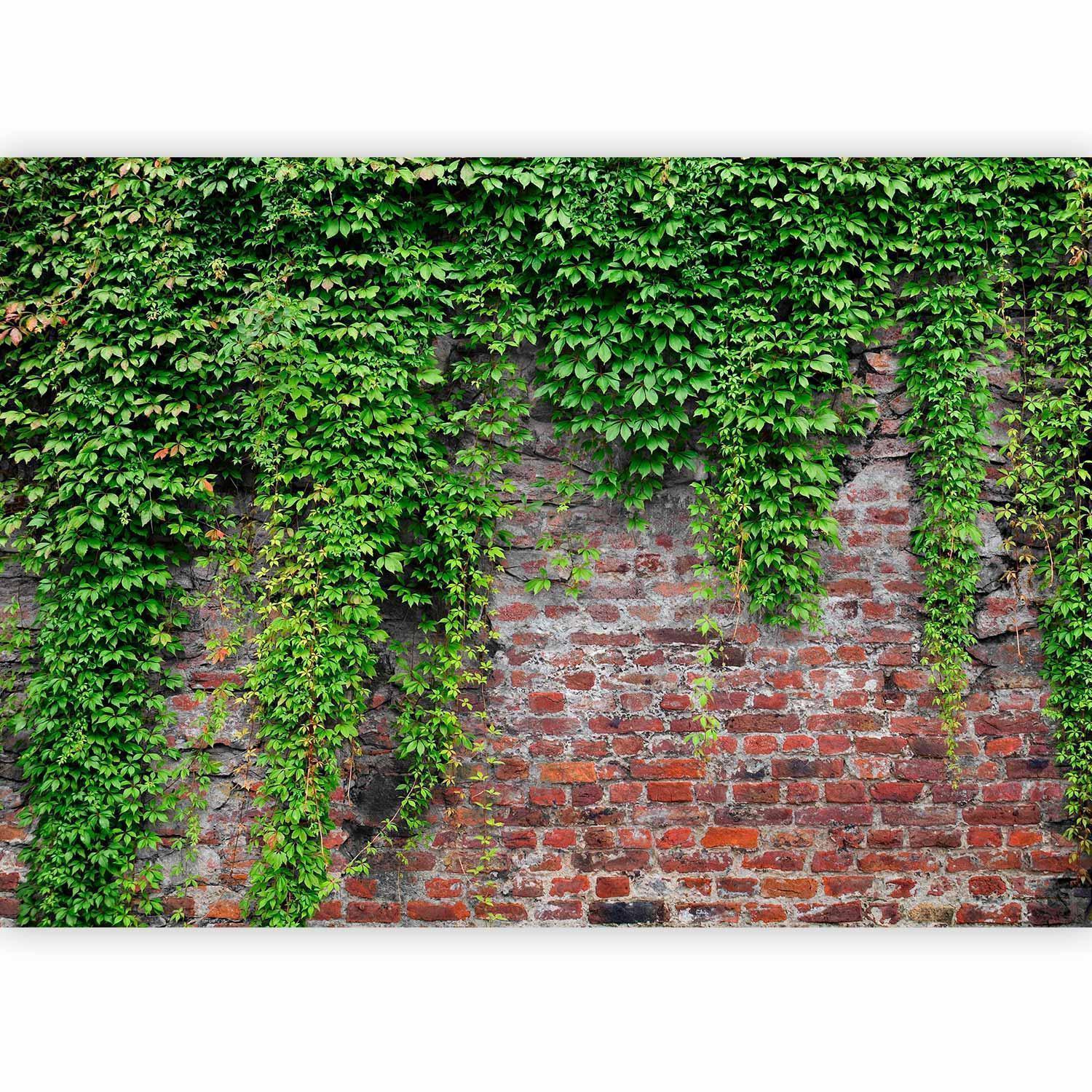 Papier peint - Brick and ivy