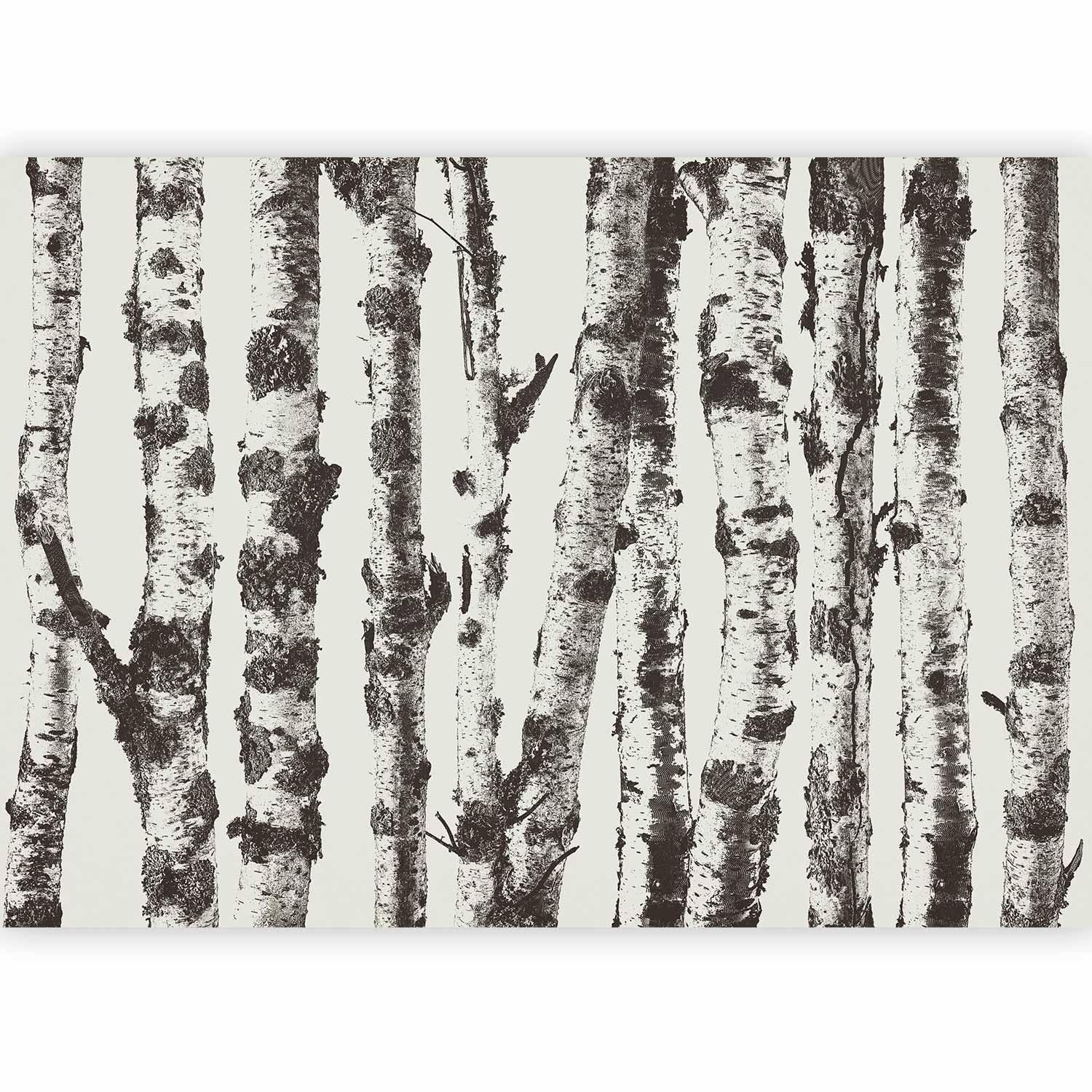 Papier peint - Stately Birches - First Variant