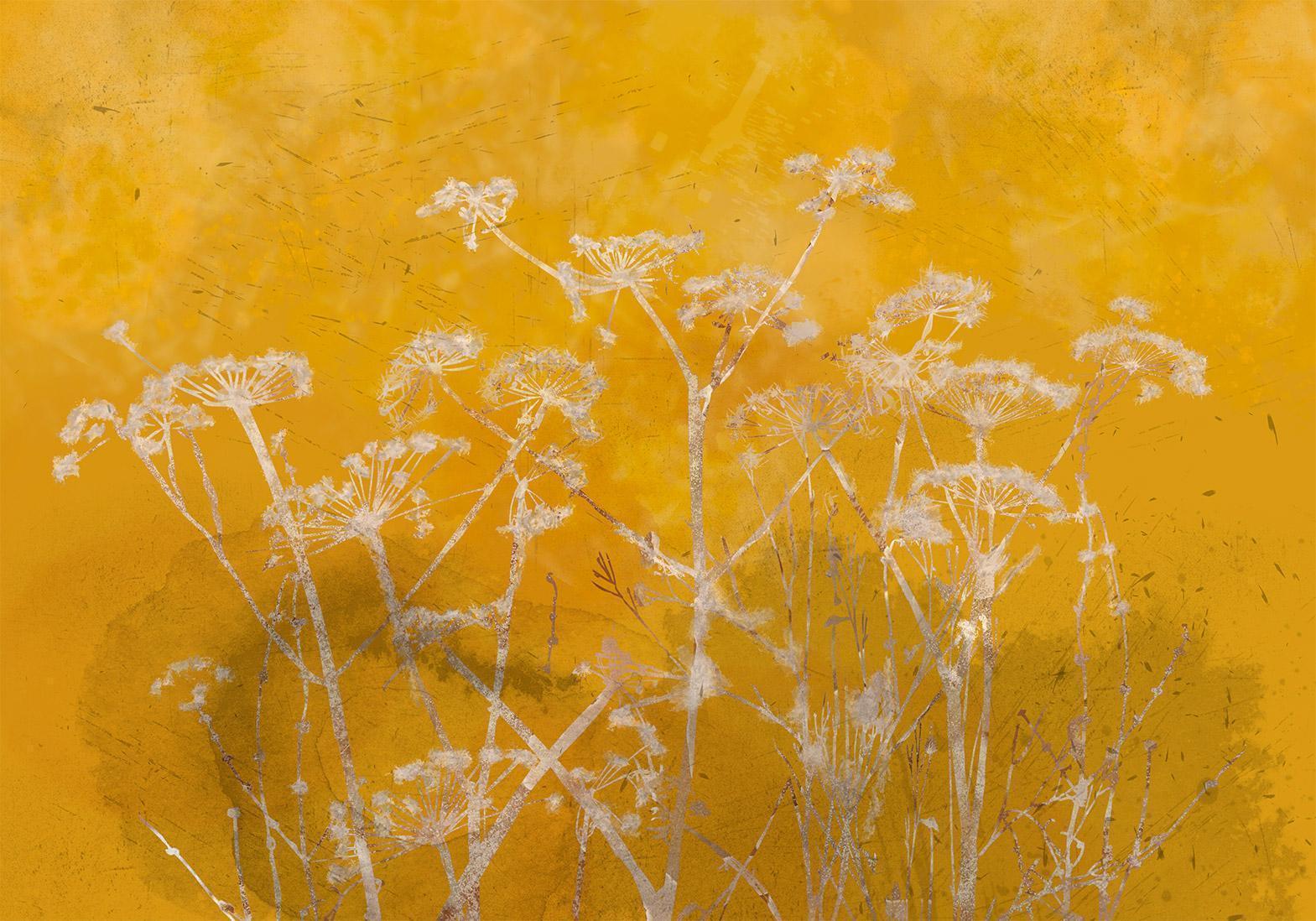 Papier peint - Meadow Bathed in the Sun